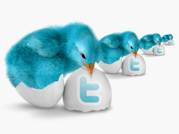 How To Grow Your Twitter Follower Instantly Free Of Cost?