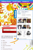 Facebook, Twitter, Google Plus, Subscribe J-Query PoP Out Widget For Your Blog & Website