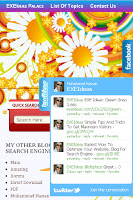 Facebook, Twitter, Google Plus, Subscribe J-Query PoP Out Widget For Your Blog & Website