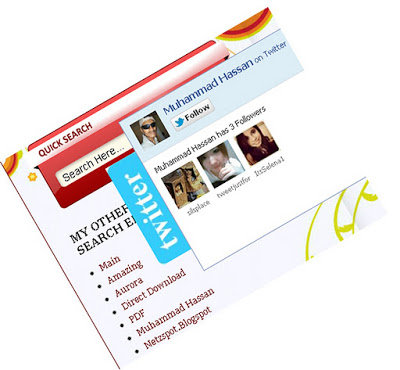 New Stylish Twitter Follow Box With Smooth J-Query POP OUt Effect In Blog And Website