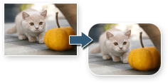 Create Rounded Corner Of An Image With Online Tool