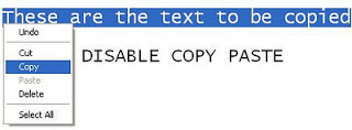 How To Disable Copying Text From Blog And Website?