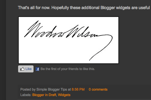 How To Add Author Signature Into Every Blog Posts? 