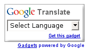 Google Translate DropDown Widget For Blog And Website