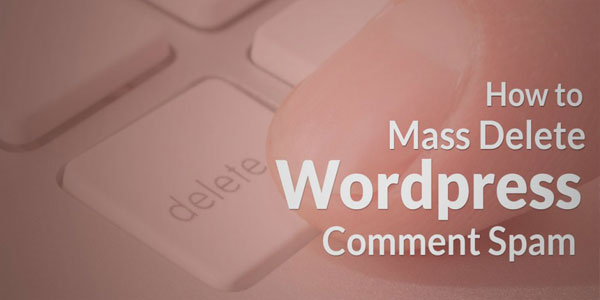 How-To-Mass-Delete-WordPress-Comment-Spam