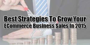 Best-Strategies-To-Grow-Your-ECommerce-Business-Sales-In-2015