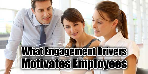 What-Engagement-Drivers-Motivates-Employees-Infographic