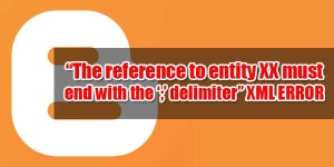 The-reference-to-entity-XX-must-end-with-the-delimiter-XML-ERROR