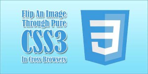 Flip-An-Image-Through-Pure-CSS3-In-Cross-Browsers