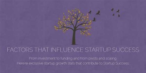 Factors-that-Influence-Startup-Success-Infographic