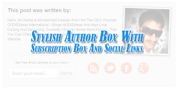 Stylish-Author-Box-With-Subscription-Box-And-Social-Links