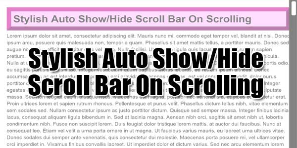 Stylish-Auto-Show-Hide-Scroll-Bar-On-Scrolling