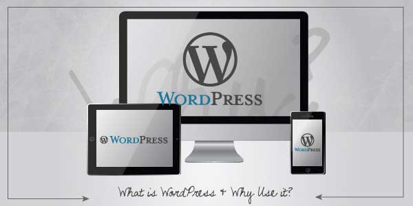 What-Is-WordPress-And-How-To-Use-It