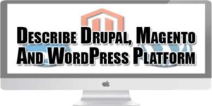 describe-drupal-magento-and-wordpress-platform