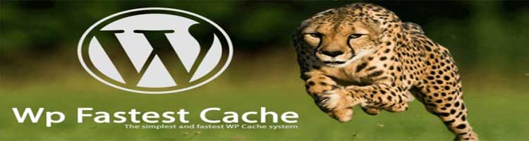 WP-Fastest-Cache