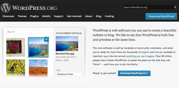 WordPress-CMS-Platform