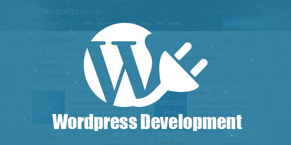 Wordpress-Development