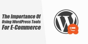 The-Importance-Of-Using-WordPress-Tools-For-E-Commerce