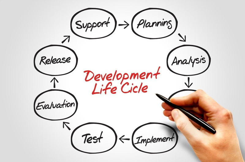 Development-Life-Cycle