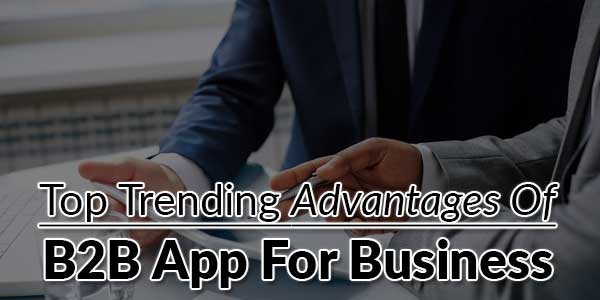 Top-Trending-Advantages-Of-B2B-App-For-Business
