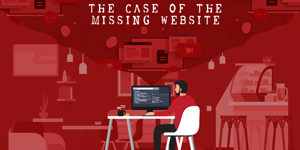 The-Case-of-the-Missing-Website-INFOGRAPHICS