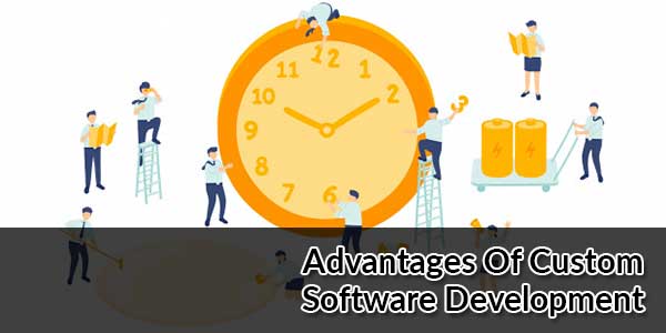 Advantages-Of-Custom-Software-Development