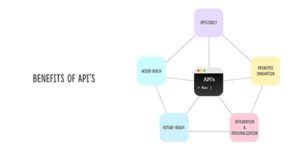 Benefits Of APIs For Custom Software Developers - EXEIdeas – Let's Your ...