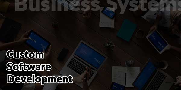 Custom-Software-Development-Business-Systems