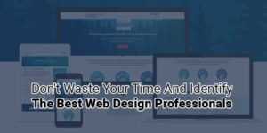 Don't-Waste-Your-Time-And-Identify-The-Best-Web-Design-Professionals