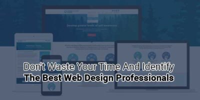 Don't-Waste-Your-Time-And-Identify-The-Best-Web-Design-Professionals