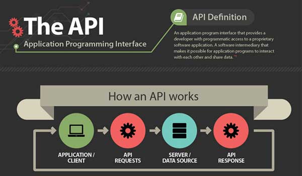 The-API-(Application-Program-Interface)