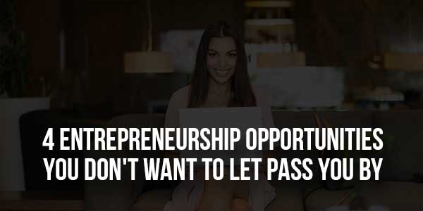 4-Entrepreneurship-Opportunities-You-Don't-Want-to-Let-Pass-You-By
