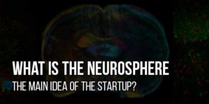 What-Is-The-Neurosphere-The-Main-Idea-Of-The-Startup