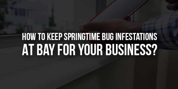 How-to-Keep-Springtime-Bug-Infestations-at-Bay-for-Your-Business