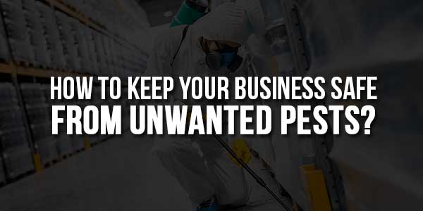 How-to-Keep-Your-Business-Safe-From-Unwanted-Pests