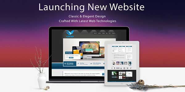 Launch-The-Website