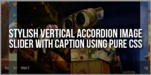 Stylish-Vertical-Accordion-Image-Slider-With-Caption-Using-Pure-CSS