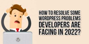 How-To-Resolve-Some-WordPress-Problems-Developers-Are-Facing-In-2022