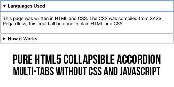 Pure-HTML5-Collapsible-Accordion-Multi-Tabs-Without-CSS-And-JavaScript