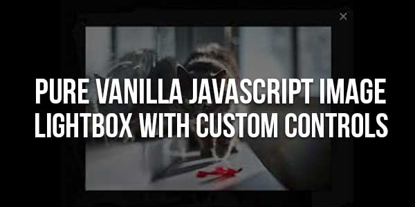 Pure-Vanilla-JavaScript-Image-Lightbox-With-Custom-Controls