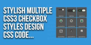 Stylish-Multiple-CSS3-Checkbox-Styles-Design-CSS-Code