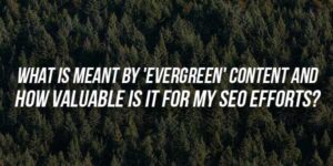 What-Is-Meant-By-'Evergreen'-Content-And-How-Valuable-Is-It-For-My-SEO-Efforts