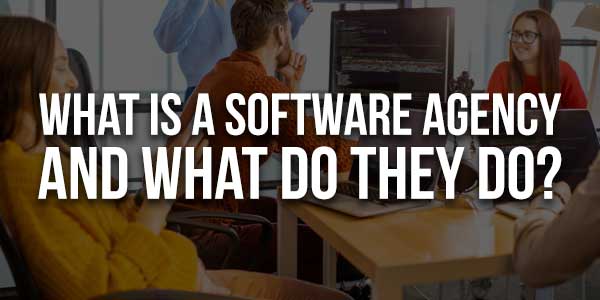 What-Is-A-Software-Agency-And--What-Do-They-Do