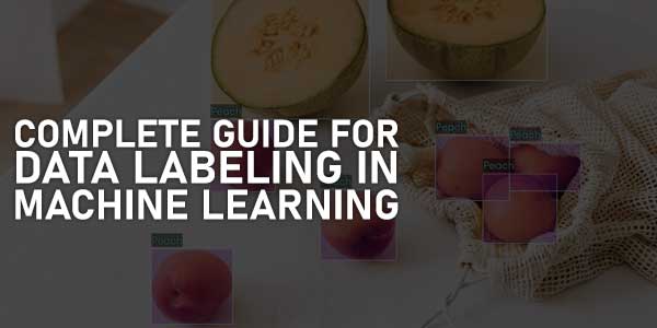 Complete-Guide-For-Data-Labeling-In-Machine-Learning