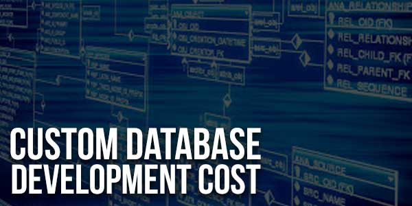 Custom-Database-Development-Cost