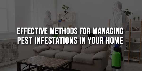 Effective-Methods-For-Managing-Pest-Infestations-In-Your-Home-