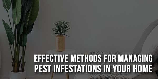 Effective-Methods-For-Managing-Pest-Infestations-In-Your-Home