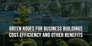 Green-Roofs-For-Business-Buildings-Cost-Efficiency-And-Other-Benefits