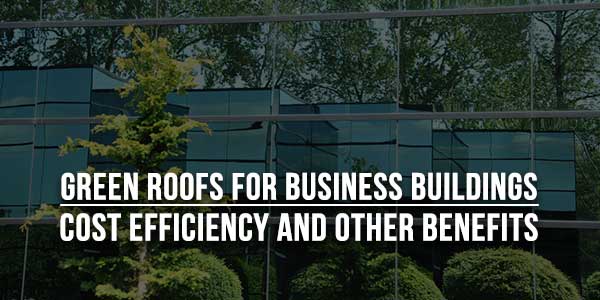 Green-Roofs-For-Business-Buildings-Cost-Efficiency-And-Other-Benefits