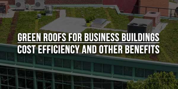 Green-Roofs-For-Business-Buildings--Cost-Efficiency-And-Other-Benefits